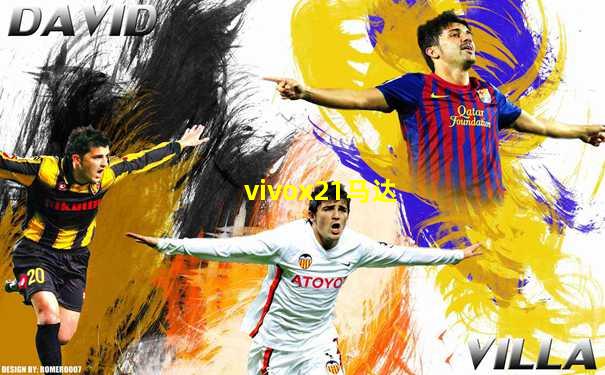 vivox21马达