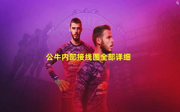 公牛内部接线图全部详细