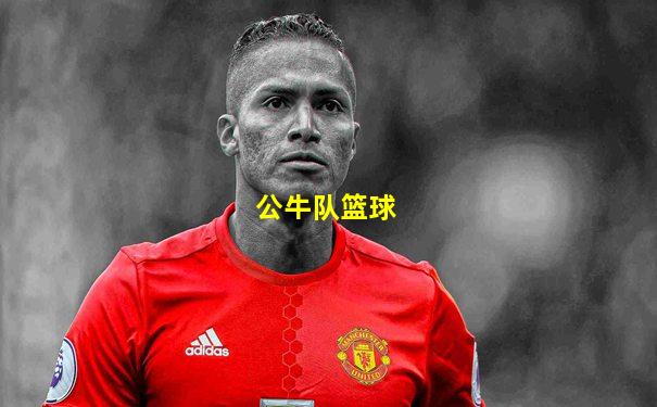 公牛队篮球