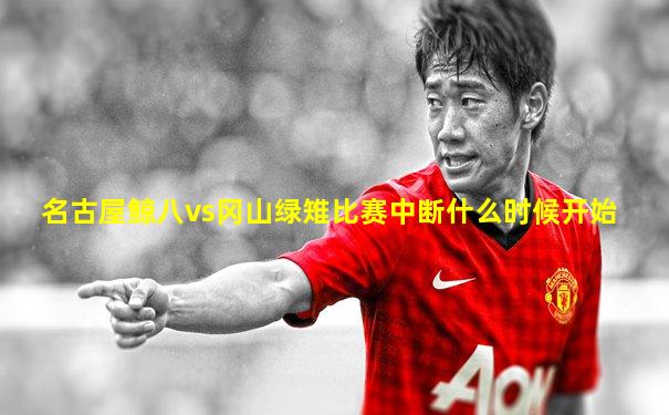 名古屋鲸八vs冈山绿雉比赛中断什么时候开始