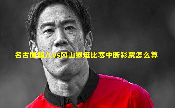 名古屋鲸八vs冈山绿雉比赛中断彩票怎么算