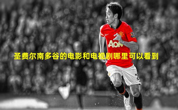 圣费尔南多谷的电影和电视剧哪里可以看到