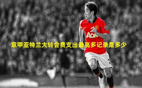 意甲亚特兰大转会费支出最高多记录是多少