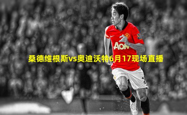 桑德维根斯vs奥迪沃特6月17现场直播