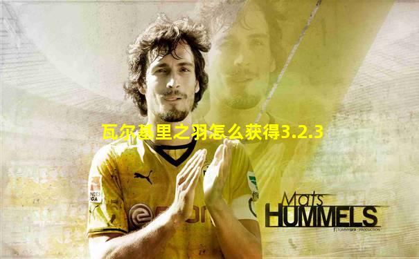 瓦尔基里之羽怎么获得3.2.3