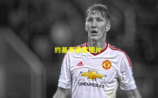 约基奇穆雷图片