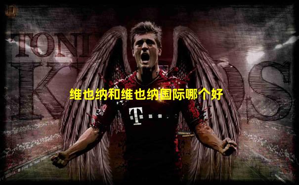维也纳和维也纳国际哪个好