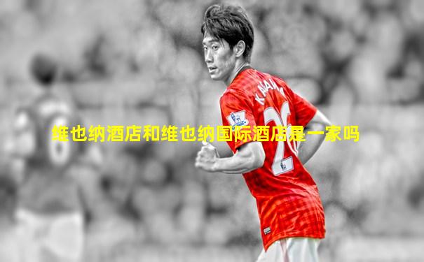 维也纳酒店和维也纳国际酒店是一家吗